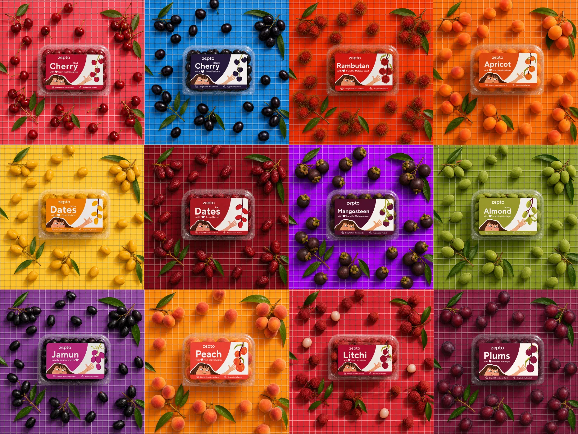 All twelve labels seen from above on colour-matched grid backdrops, four across and three down
